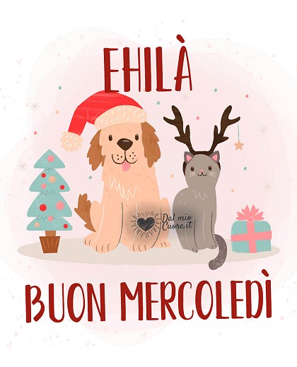 Ehilà! Buon mercoledì