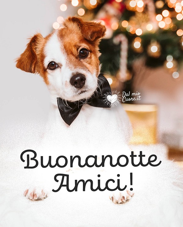Buonanotte amici!