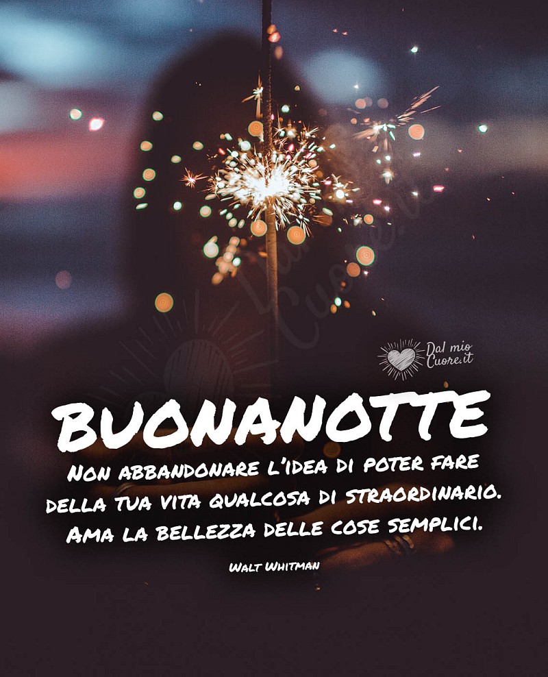 Ama la bellezza delle cose semplici. Buonanotte