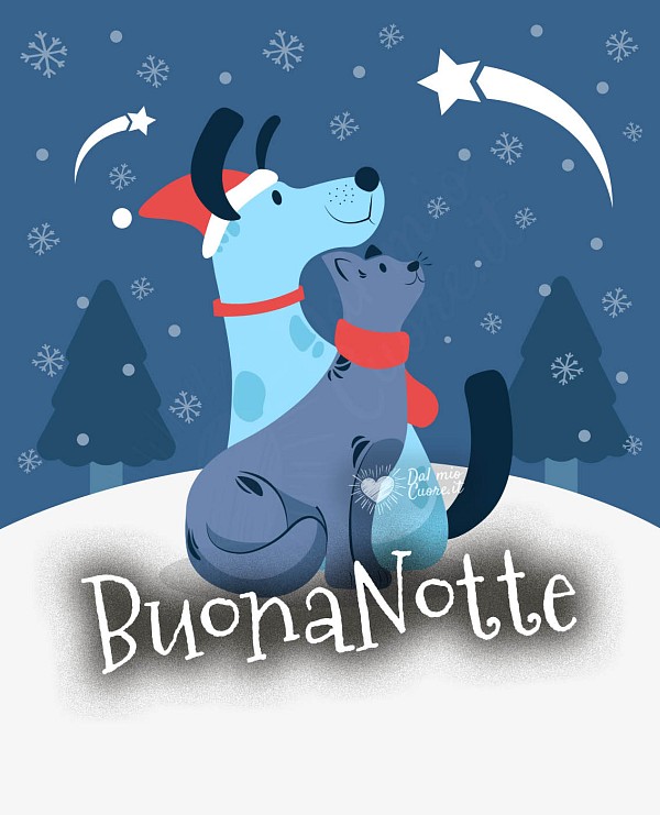 Buonanotte (natalizia con cane e gatto)