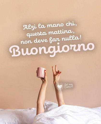 Alzi la mano chi, questa mattina, non deve far nulla!