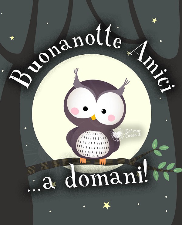 Buonanotte amici... a domani! Con gufetto