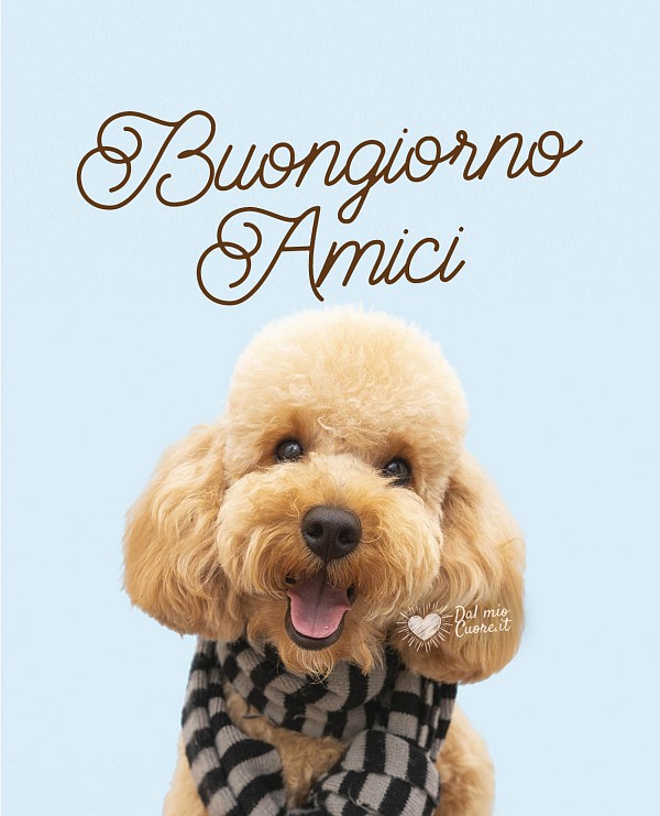 Buongiorno amici (con simpatico cagnolino)