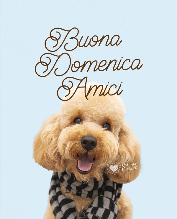 Buona domenica amici (con simpatico cagnolino)