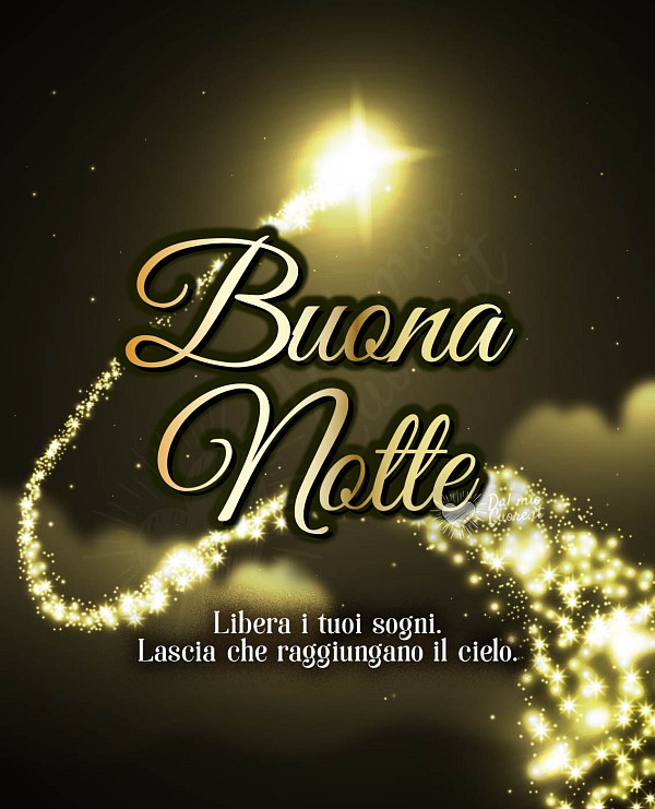 Libera i tuoi sogni. Lascia che raggiungano il cielo. Buona Notte