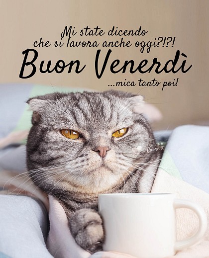 Mi state dicendo che si lavora anche oggi?!?! Buon venerdi... mica tanto poi!