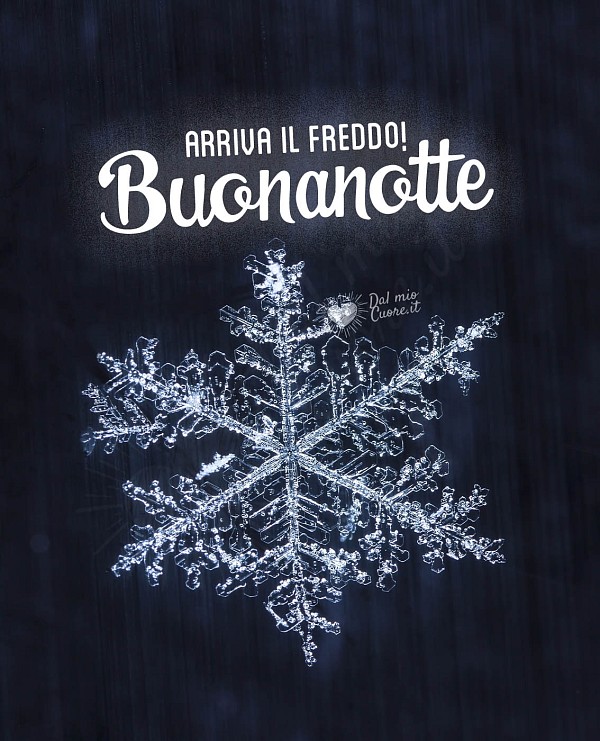 Arriva il freddo! Buonanotte