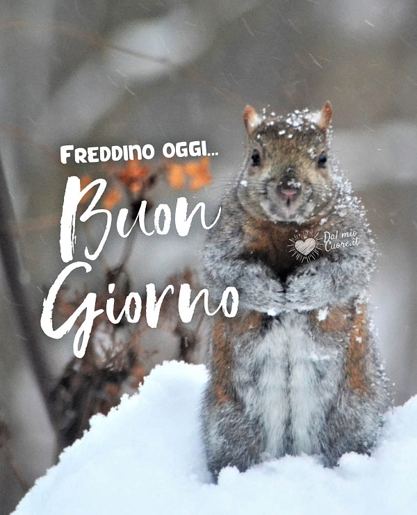 Freddino oggi... Buon giorno
