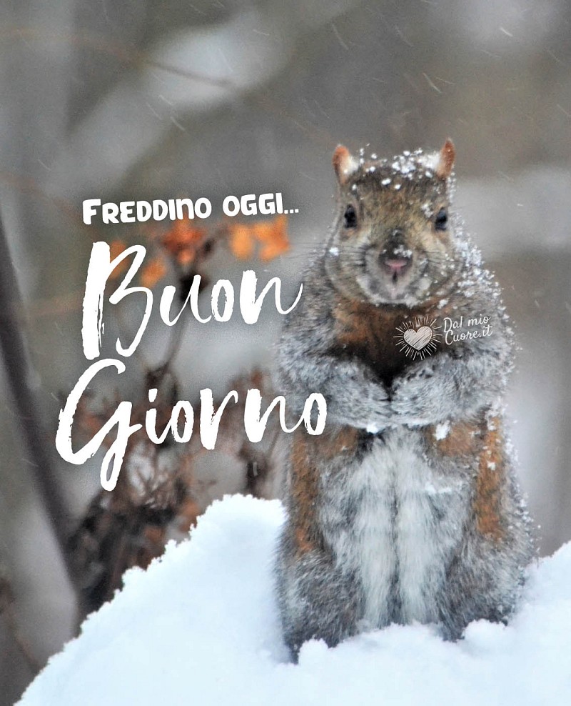 Freddino oggi... Buon giorno