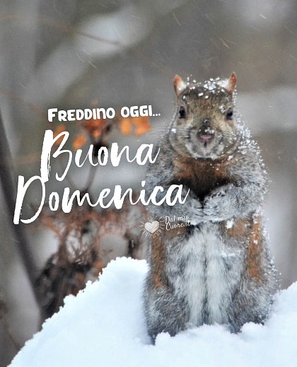 Freddino oggi... Buona domenica