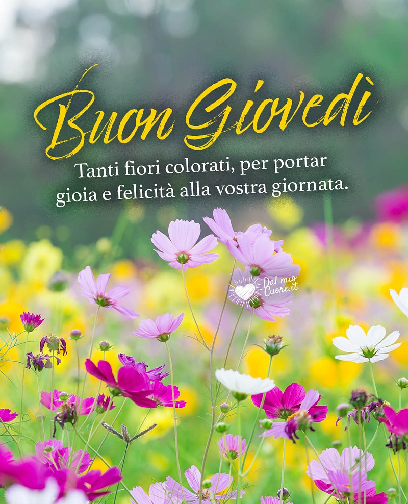 Tanti fiori colorati per portare gioia e felicità alla vostra giornata. Buon giovedì