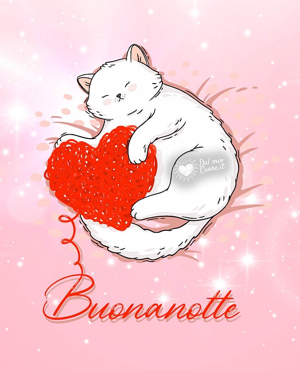 Buonanotte con micio e con cuore