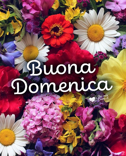 Buona Domenica con fiori