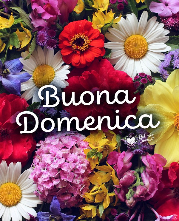 Buona Domenica con fiori