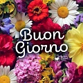 Buongiorno
