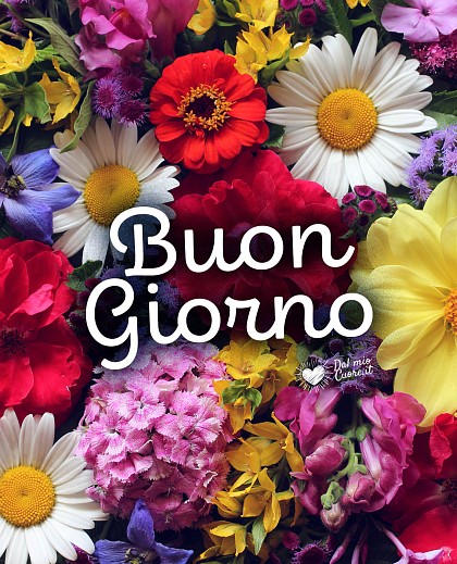 Buongiorno con fiori