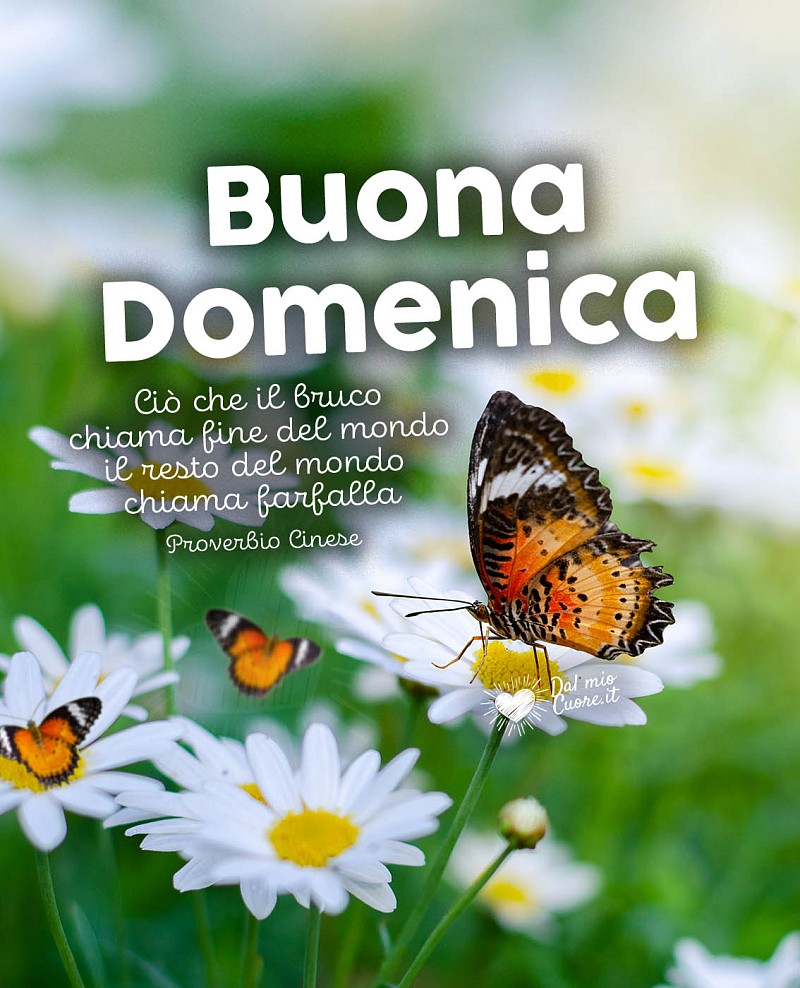 Ciò che il bruco chiama fine del mondo il resto del mondo chiama farfalla. Buona domenica