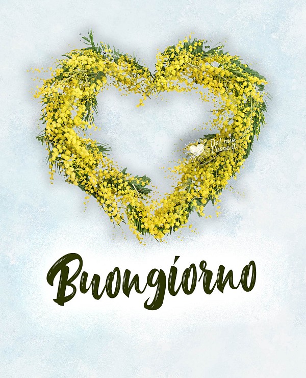 Buongiorno con cuore di mimose