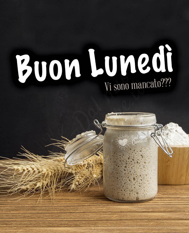 Vi sono mancato? Buon lunedì con lievito madre