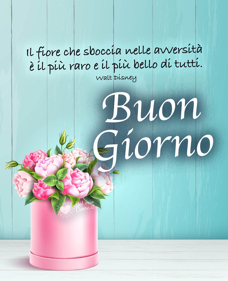 Il fiore che sboccia nelle avversità è il più raro e il più bello di tutti. Buon Giorno