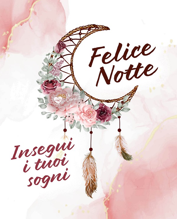 Insegui i tuoi sogni. Felice Notte