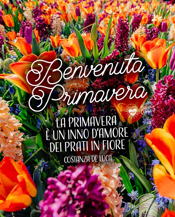 La Primavera è un inno d'amore dei prati in fiore. Benvenuta Primavera
