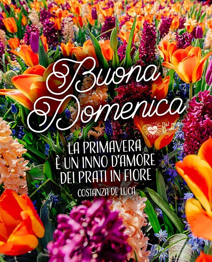 La Primavera è un inno d'amore dei prati in fiore. Buona domenica