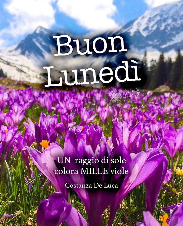 UN raggio di sole colora MILLE viole. Buon Lunedì