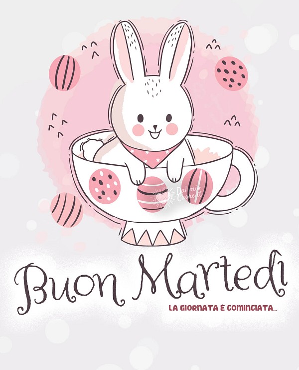 Buon Martedì. La giornata è cominciata...