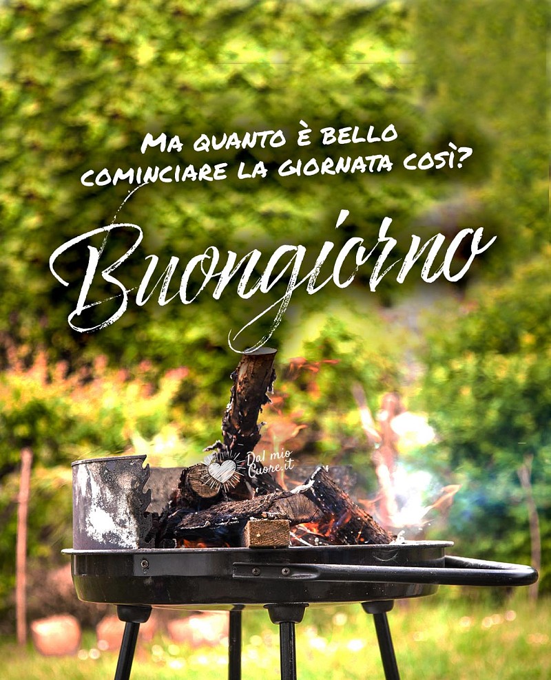 Ma quanto è bello cominciare la giornata così? Buongiorno