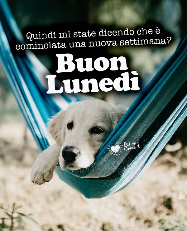 Quindi mi state dicendo che è cominciata una nuova settimana? Buon Lunedì