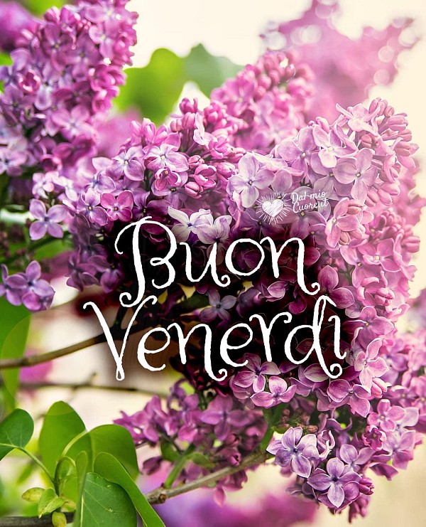 Buon venerdì primaverile