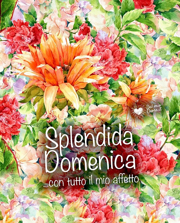 Splendida domenica... con tutto il mio affetto