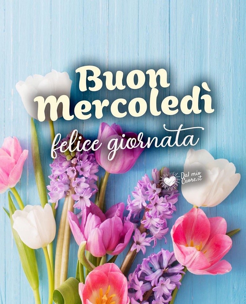 Buon mercoledì. Felice Giornata