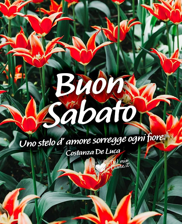 Uno stelo d'amore sorregge ogni fiore. Buon Sabato