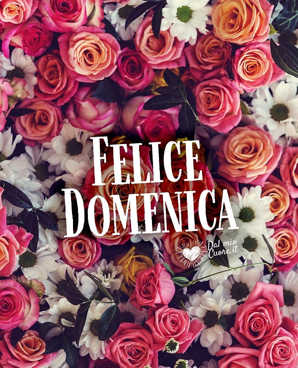 Felice Domenica con fiori