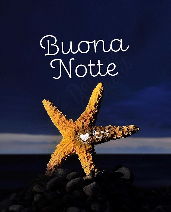 Buona notte con stella marina