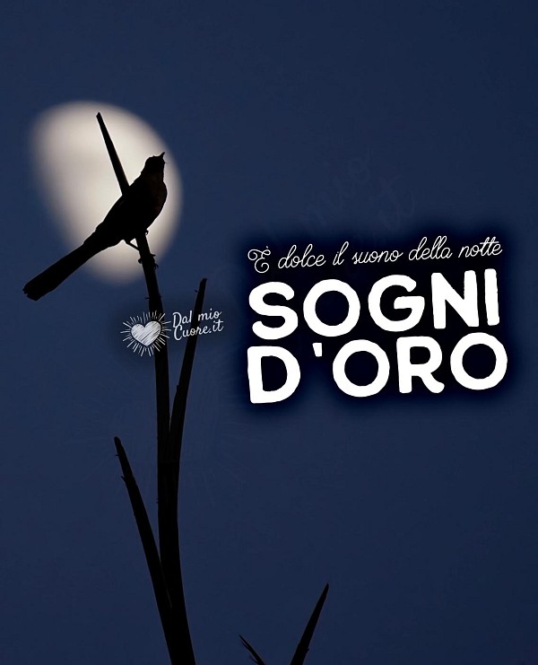 È dolce il suono della Notte! Sogni d'oro
