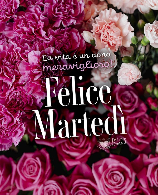 La vita è un dono meraviglioso! Felice Martedì