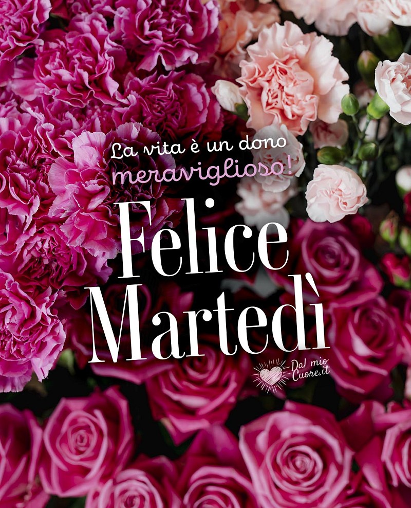 La vita è un dono meraviglioso! Felice Martedì