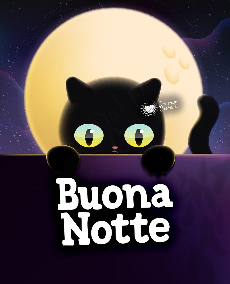 Buona Notte con micino e luna piena