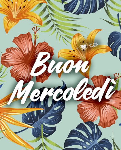 Buon mercoledì con fantasia floreale