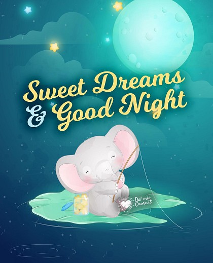 Sweet Dreams & Good Night