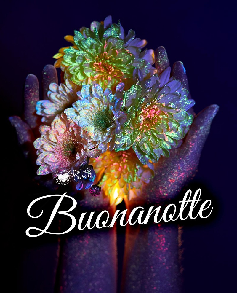 Buonanotte con una mano che sorregge dei fiori nella notte