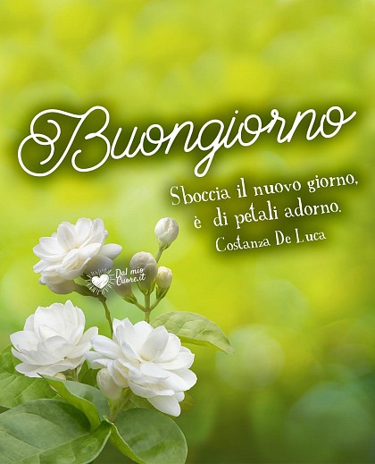 Sboccia il nuovo giorno, è di petali adorno. Buongiorno