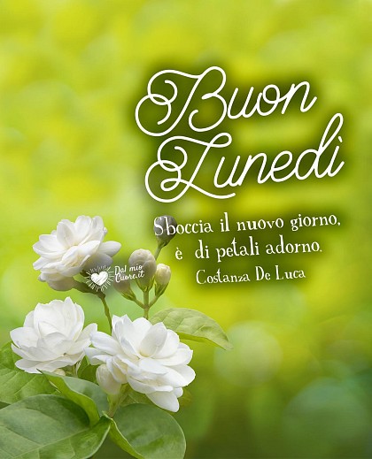 Sboccia il nuovo giorno, è di petali adorno. Buon lunedì