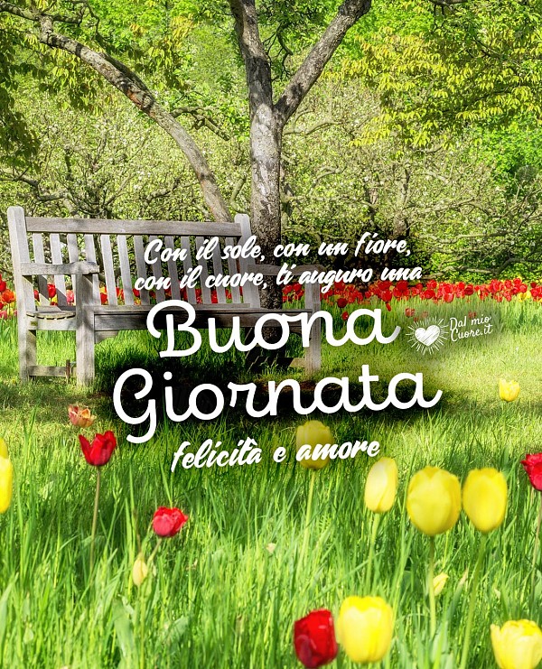 Con il sole, con un fiore, con il cuore, ti auguro una Buona Giornata, felicità e amore