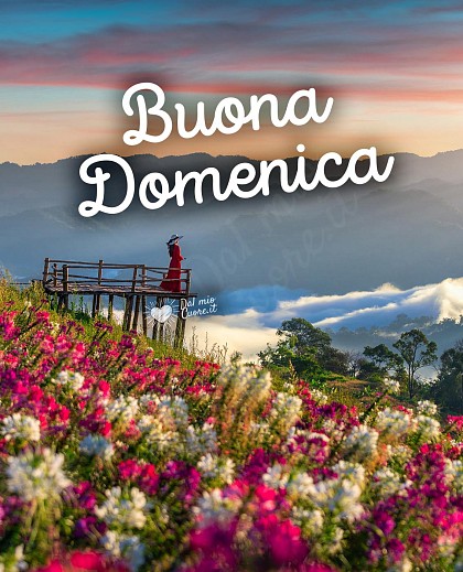 Buona domenica con alba in Provenza