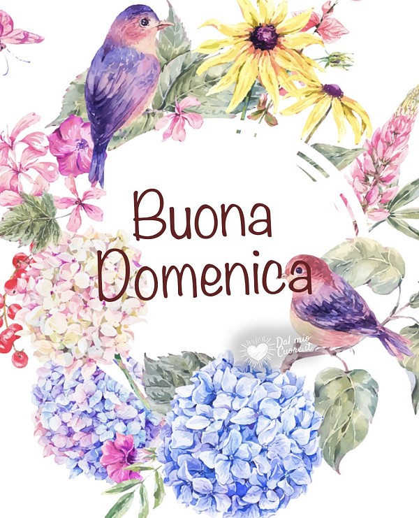 Buona domenica con fiori