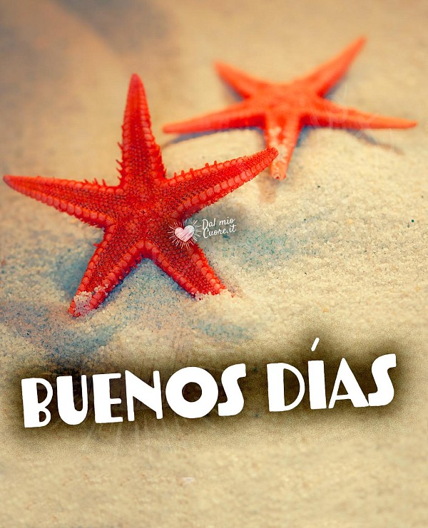 Buenos días con estrellas de mar